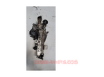 Load image into Gallery viewer, 11717823210 exhaust cooler 3.0 Diesel N57 F10