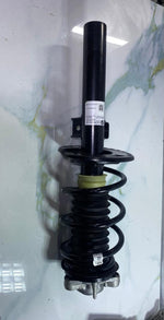 Bild in die Galerieansicht laden, BMW Front Suspension Strut 6890943 BMW X4 G02 models FRONT LEFT