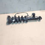 Load image into Gallery viewer, 2018-2024 BMW X3 Rear Shock Absorber 6887152 X3 G01 and X4 G02 REAR RIGHT