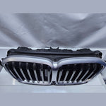 قم بتحميل الصورة إلى عارض الصور، OEM BMW X7 G07 2023-25 RADIATOR GRILL ICONIC GLOW 9T54989-9854141