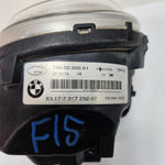 Load image into Gallery viewer, 2014-2019 BMW X3 F25, X4 F26, X5 F15, X6 F16 Right Side Fog Light 7317252