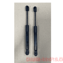 BMW X5 G05 7418188 Bonet Shocks 2 pcs