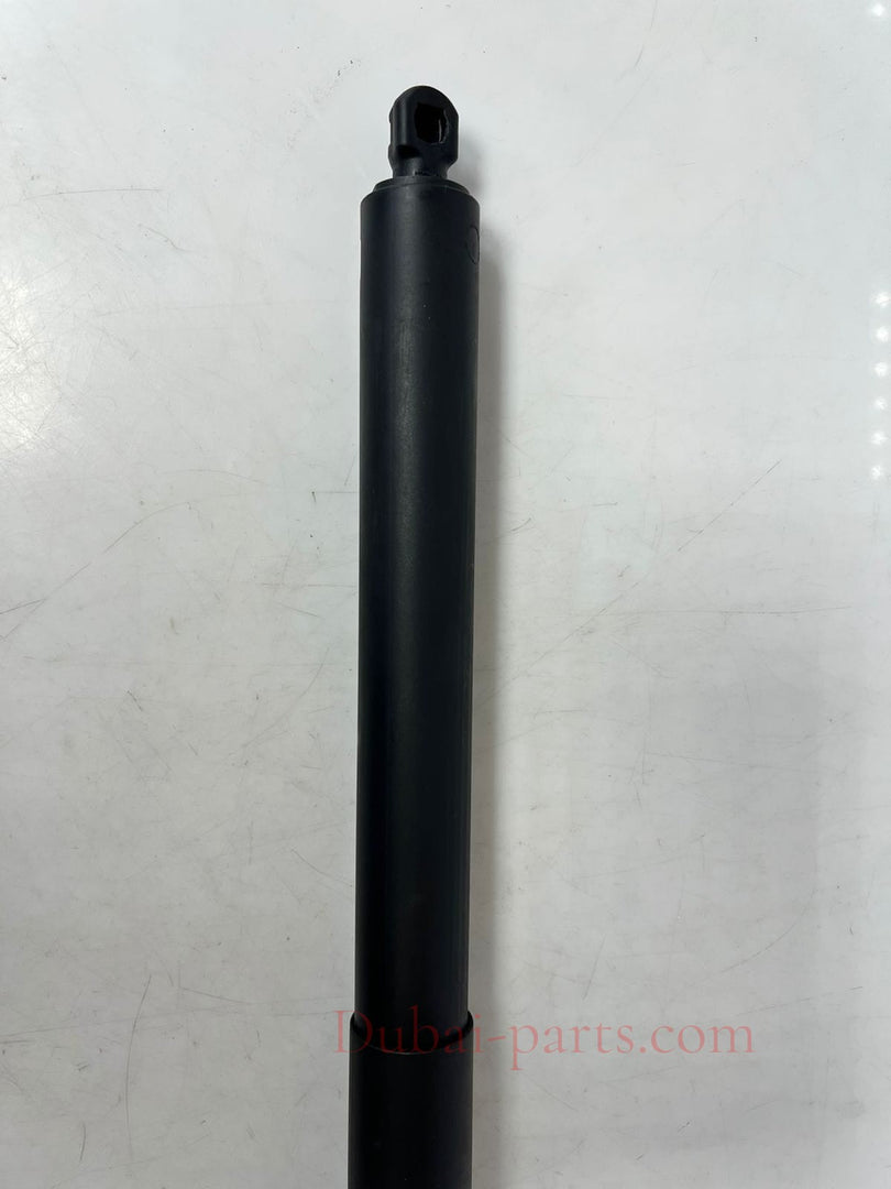 2016-2017 BMW 320i 428i, 430i, 435i, 440i F36 Tailgate Lift Strut 2586402 OEM