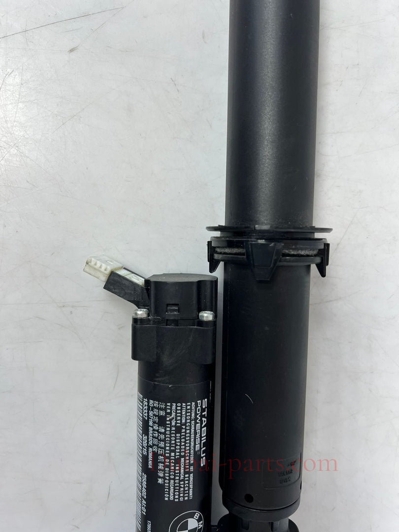 2016-2017 BMW 320i 428i, 430i, 435i, 440i F36 Tailgate Lift Strut 2586402 OEM