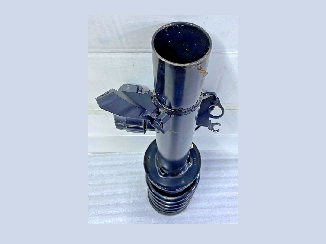 OEM BMW X5 G05 LCI X6 G06 LCI Spring Strut Front Left VDC 5A45211