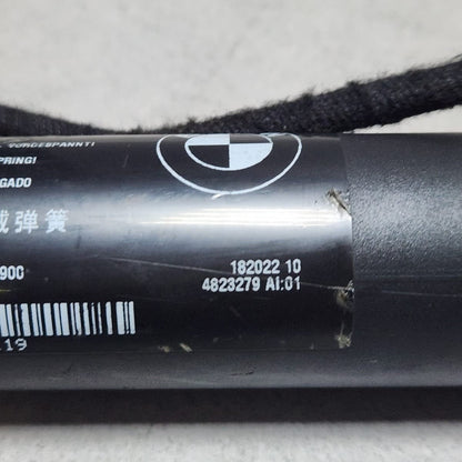 2013-2018 BMW X5 Tailgate Strut 4823279 X5 F15 F85