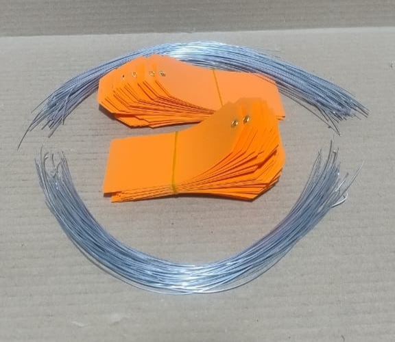 ACRYLIC TAG WITH METAL EYELET – THIN PLASTIC LABEL - IND/CRAFT ID TAG ORANGE