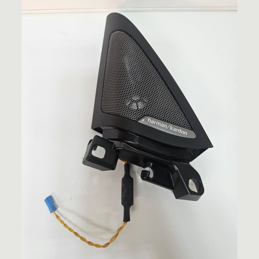 2023-2024 BMW i4 Front Door High Frequency Speaker 7945903 OEM