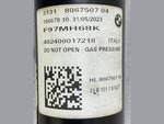 Bild in die Galerieansicht laden, OEM BMW F97 F98 Strut Rear Left Shock Absorber VDC Spring 8067507