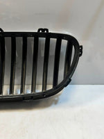 Load image into Gallery viewer, 2012-2014 BMW M5 5 Series F10 F11 Front Bumper Upper Radiator Grille 7200728