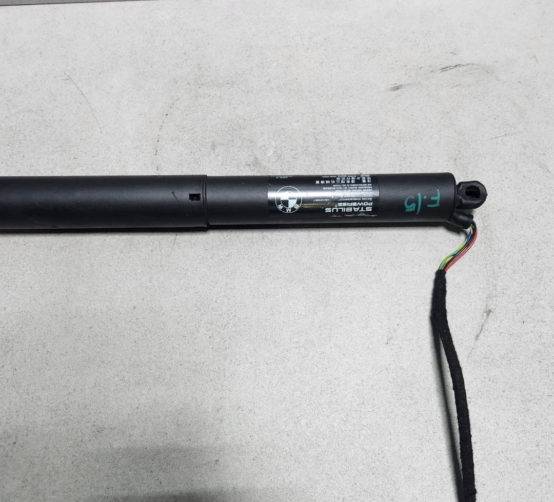 2013-2018 BMW X5 Tailgate Strut 4823279 X5 F15 F85
