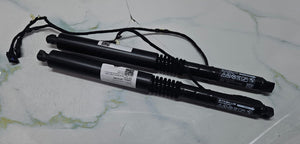 OEM BMW XM G09 Spindle Drive Tailgate Electric Trunk Gas Spring Shocks 9451743