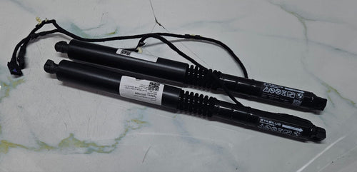 OEM BMW XM G09 Spindle Drive Tailgate Electric Trunk Gas Spring Shocks 9451743