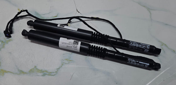 OEM BMW XM G09 Spindle Drive Tailgate Electric Trunk Gas Spring Shocks 9451743
