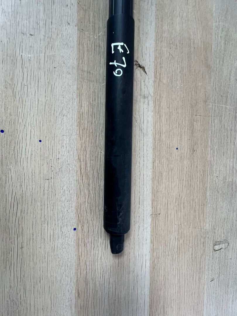  2007-2013 OEM tailgate strut for BMW X5 E70 7177283