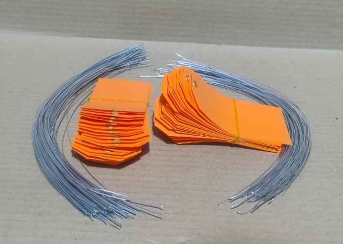ACRYLIC TAG WITH METAL EYELET – THIN PLASTIC LABEL - IND/CRAFT ID TAG ORANGE