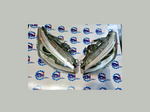 Load image into Gallery viewer, BMW 1 Series 120I F20 2012 XENON Headlight set 2013
