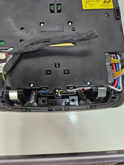 2023 BMW X7 Interior Roof Lighting LED 5A8A111