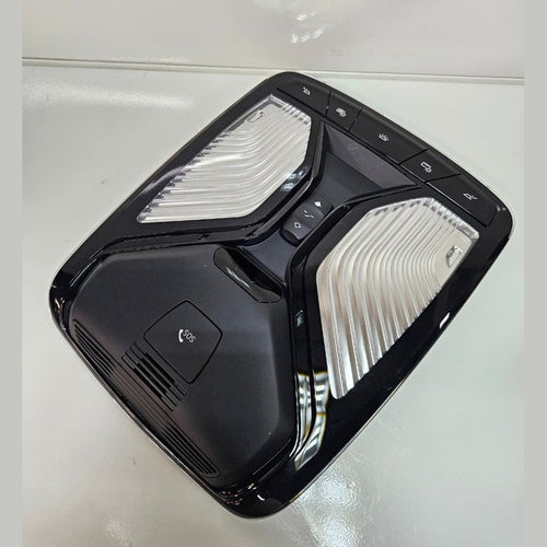 2023-2025 BMW X7 Roof Function Center Light 5B32498