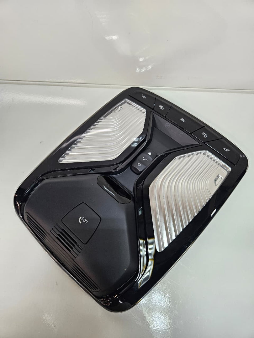 2023-2025 BMW X7 Roof Function Center Light 5B32498