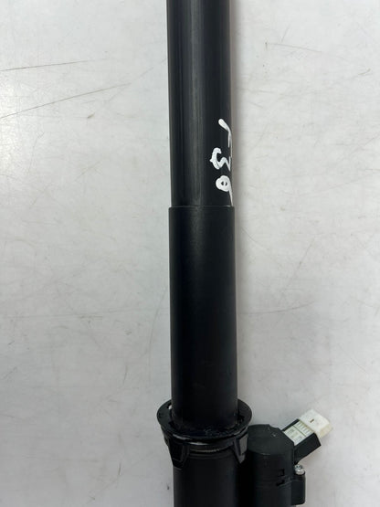 2016-2017 BMW 320i 428i, 430i, 435i, 440i F36 Tailgate Lift Strut 2586402 OEM