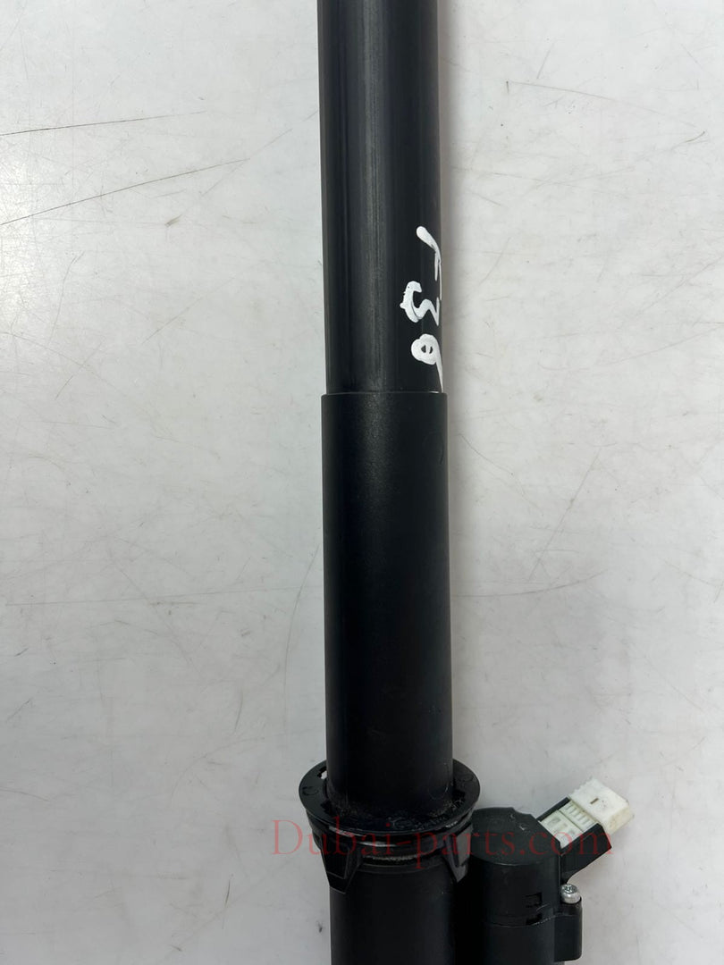 2016-2017 BMW 320i 428i, 430i, 435i, 440i F36 Tailgate Lift Strut 2586402 OEM