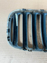 2004-2006 BMW X5 E53 BONNET Front Grille Kidney Left 7124815 OEM