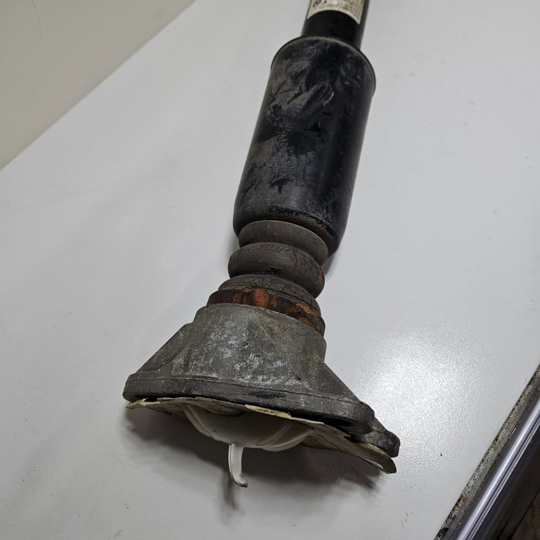 2016-2017 BMW 3 Series F30 320i Rear Shock Absorber 6873799