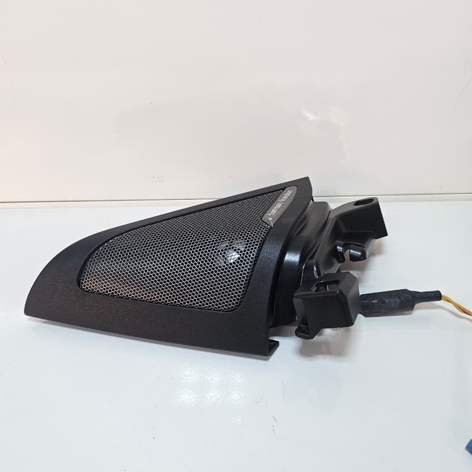 2023-2024 BMW i4 Front Door High Frequency Speaker 7945903 OEM