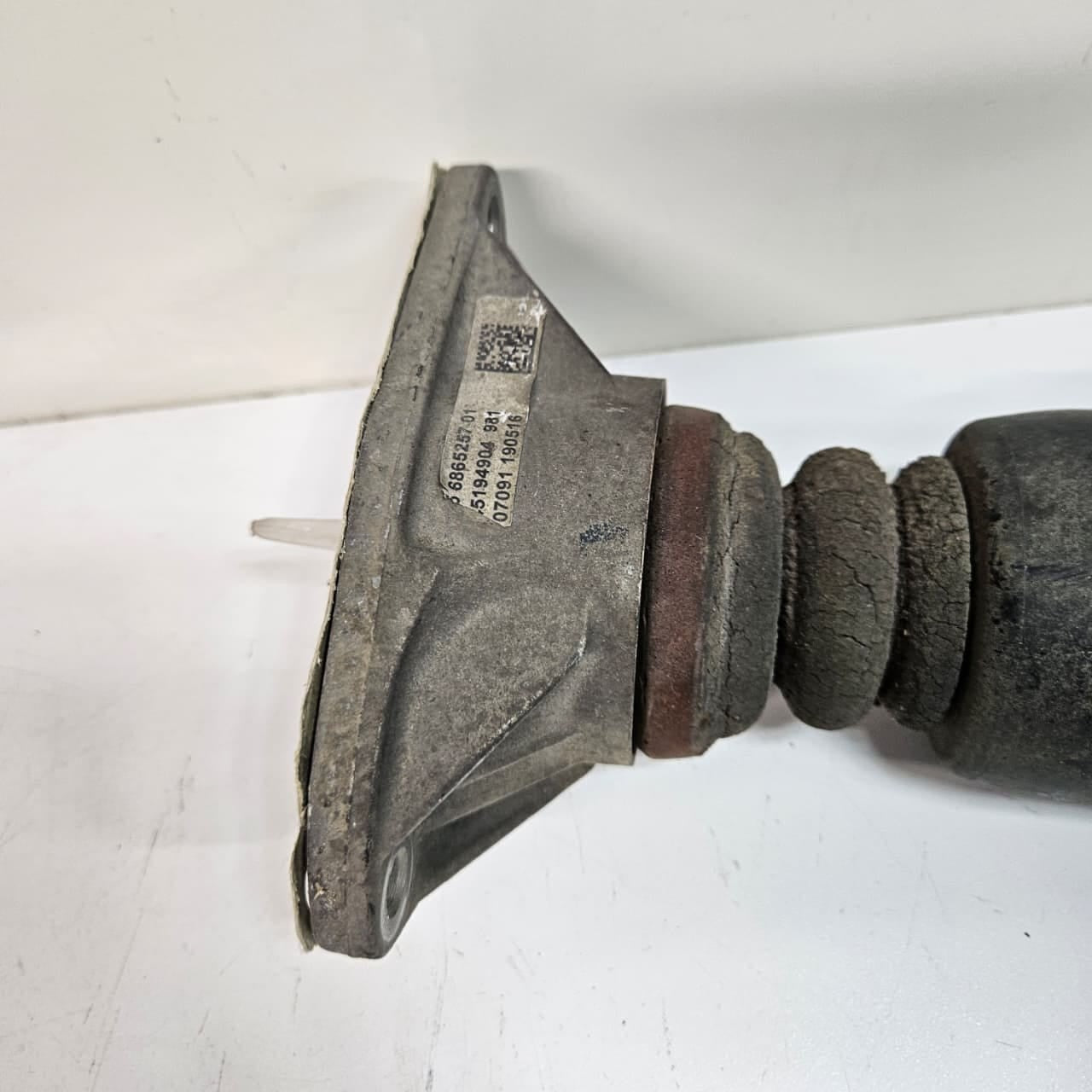 OEM BMW F20, F21, F22 Rear Shock Absorber 6883839