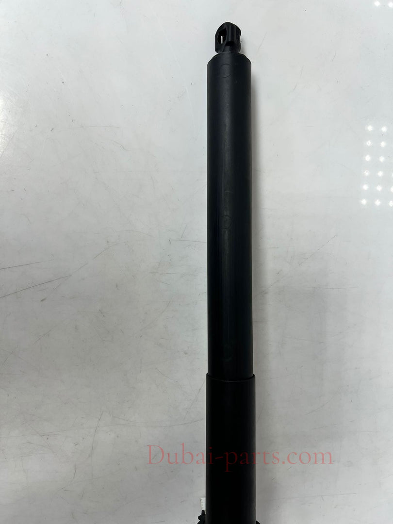 2016-2017 BMW 320i 428i, 430i, 435i, 440i F36 Tailgate Lift Strut 2586402 OEM
