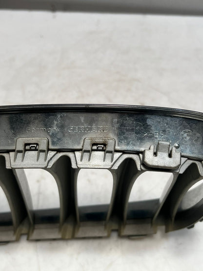 2010-2015 BMW X1 X3 7 5 Series F01 F10 F11 F48 Bumper Grille 10627110 OEM