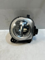 2014-2018 BMW X5 F15 X6 F16 Nebelscheinwerfer LINKS RECHTS 7317251 7317252 OEM