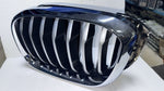 Bild in die Galerieansicht laden, BMW X3 G01 X4 G02 FRONT GRILL NEW GENUINE LHS RHS 7464930-7464929 X-line 2018
