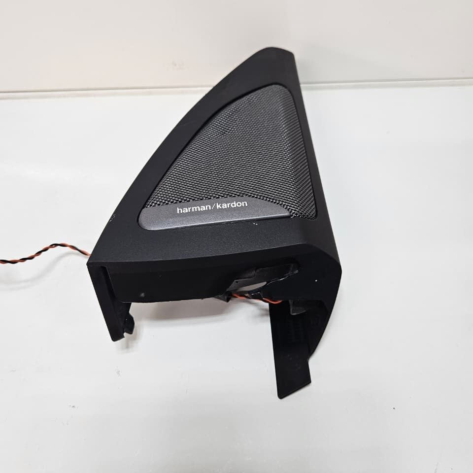 2019 BMW X5 G05 X7 G07 Front Door Speaker 7445518 OEM