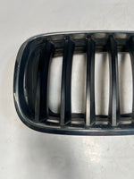 Bild in die Galerieansicht laden, 2007-2013 BMW X5 E70 Front Bumper Kidney Grille 7171395 OEM