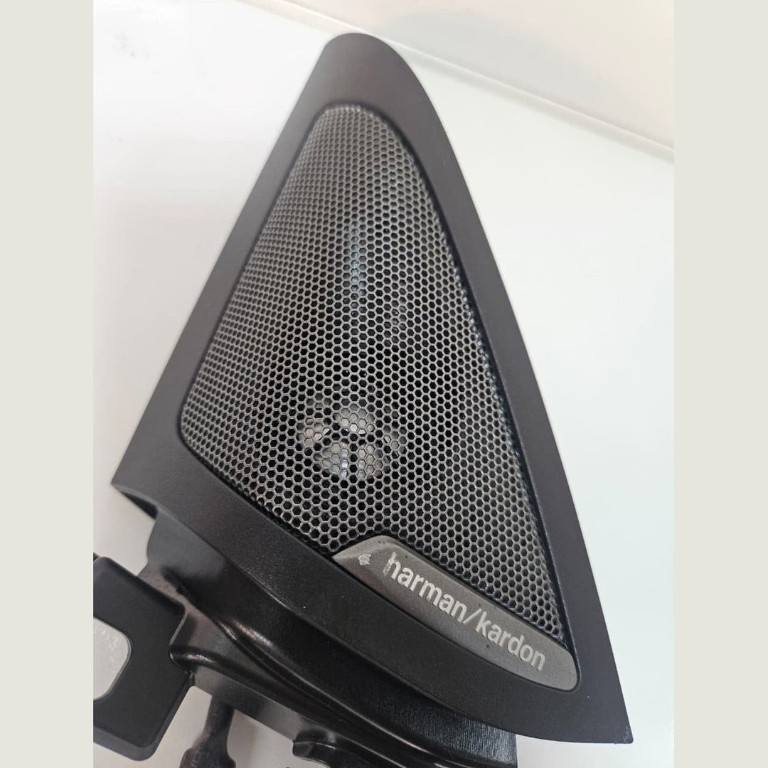 2023-2024 BMW i4 Front Door High Frequency Speaker 7945903 OEM