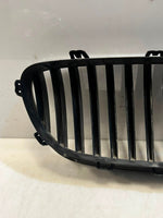 Load image into Gallery viewer, 2010-2013 BMW 528i 535i 5 Series F10 F11 Front Bumper Kidney Grille 7200727