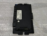 Bild in die Galerieansicht laden, OEM BMW E90 3 series FOOTWELL LIGHT CONTROL MODULE FRM2 LED XE XENON 9204538