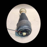 BMW F11 5 Series Dumping Spring Rear Left 307513705 OEM