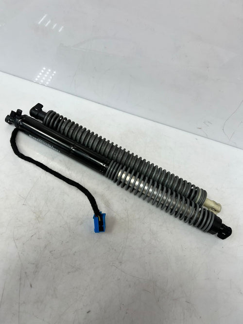 2016-2019 BMW 740i 7 Series G11 G12 Tailgate Strut 7357110 OEM