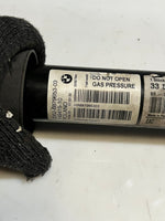 Load image into Gallery viewer, 2016-2023 Mini Cooper F56 F57 Rear Shock Absorber STRUT LEG 6879653 LEFT\RIGHT