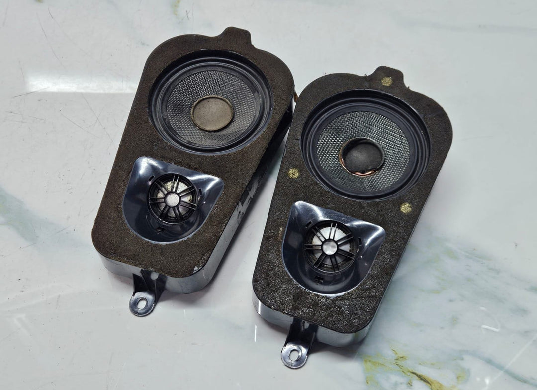 2007-2018 BMW X5 D Pillar Speaker 9211047