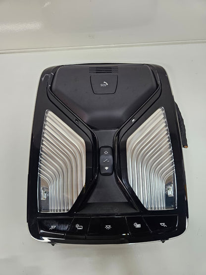 2023 BMW X7 Interior Roof Lighting LED 5A8A111