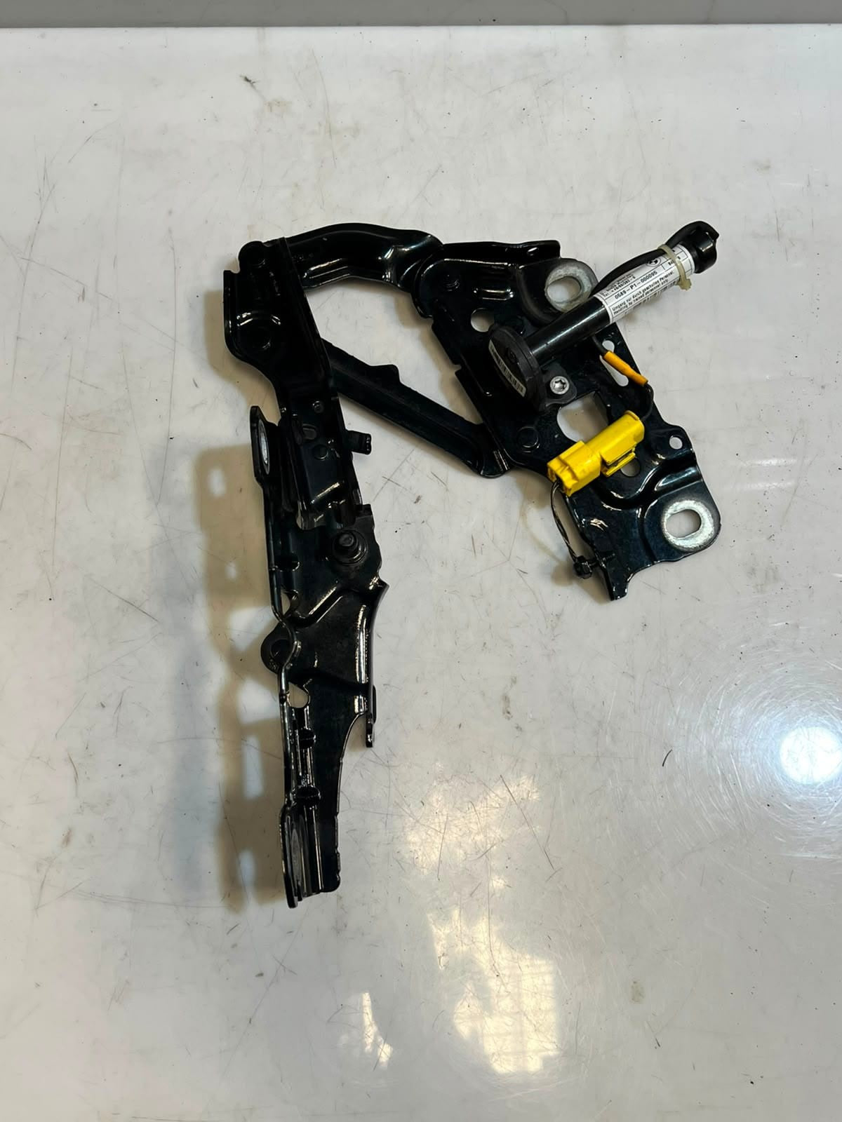 2016-2020 BMW 740i 7 Series G11 G12 750I ENGINE BONNET Hood Hinge 7347408 OEM