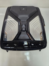 2023 BMW X7 Interior Roof Lighting LED 5A8A111