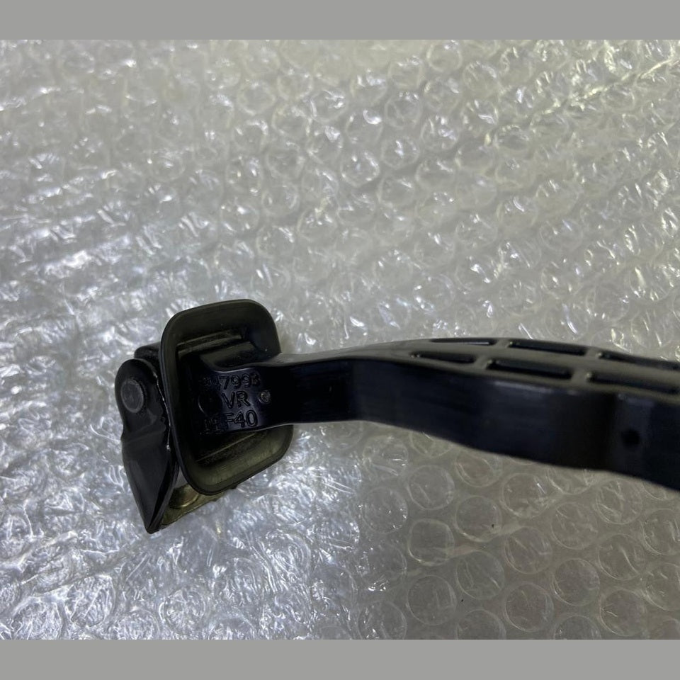 OEM BMW 1 Series F40 Front Left Door Check Strap Limiter (7447993)