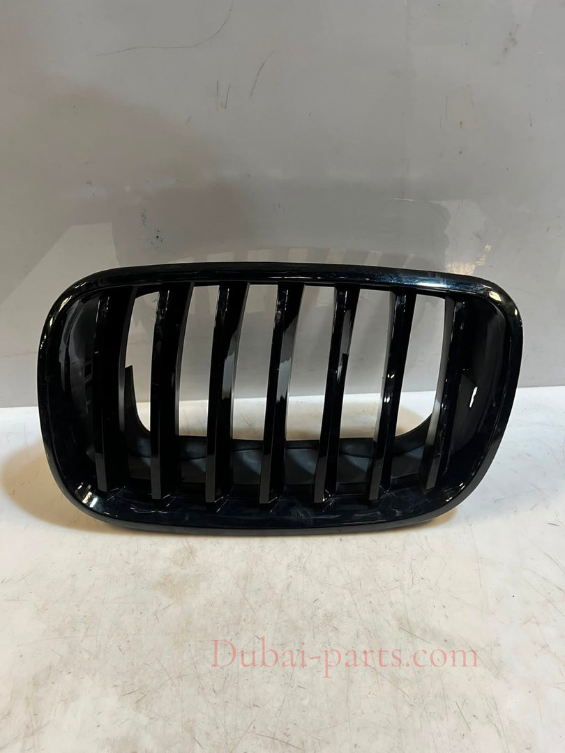 2007-2013 BMW X5 E70 X6 E71 Front Bumper Kidney Grille 7171395 OEM