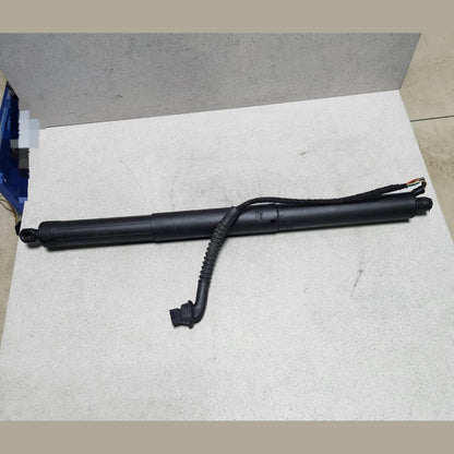 2013-2018 BMW X5 Tailgate Strut 4823279 X5 F15 F85