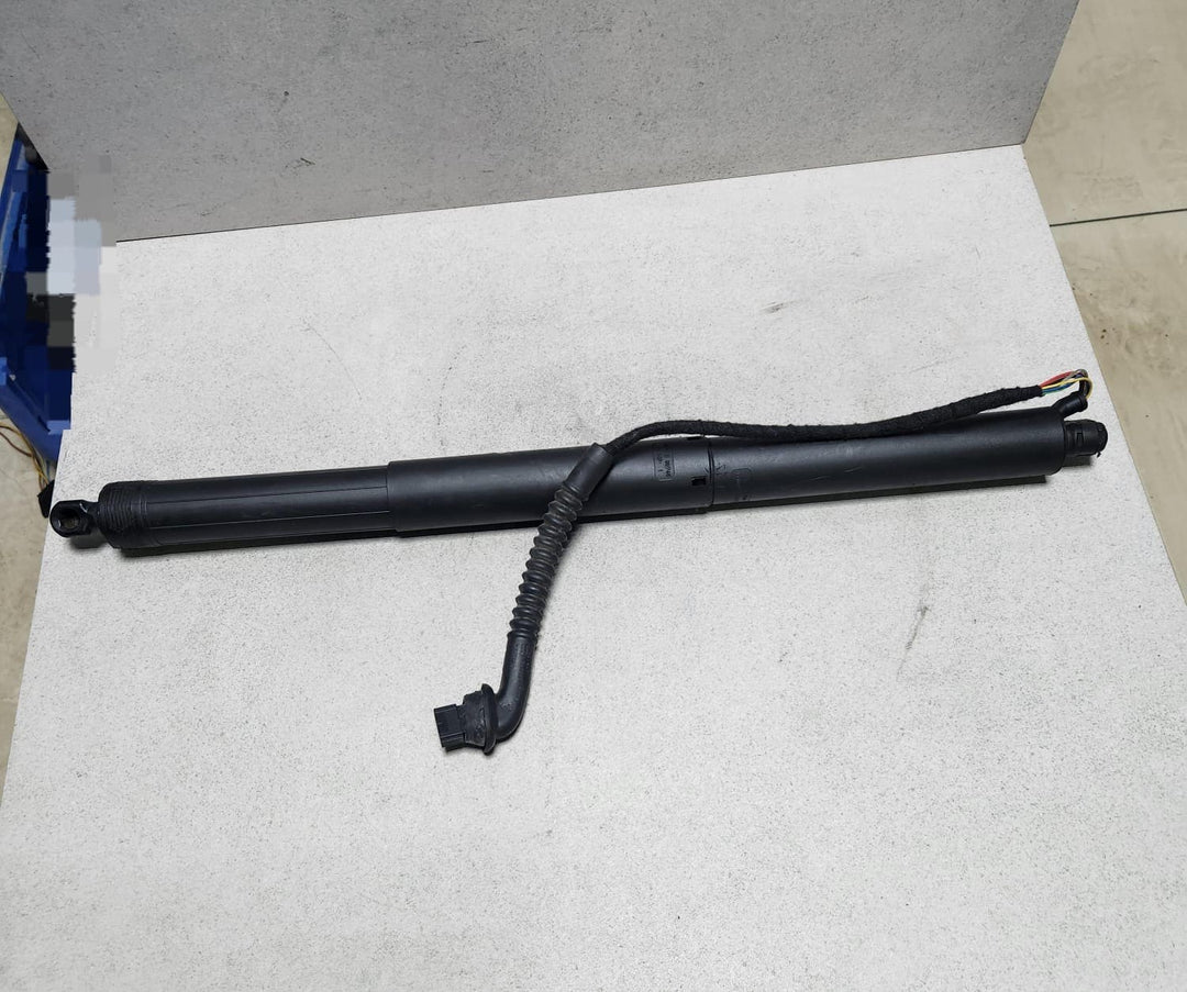 2013-2018 BMW X5 Tailgate Strut 4823279 X5 F15 F85